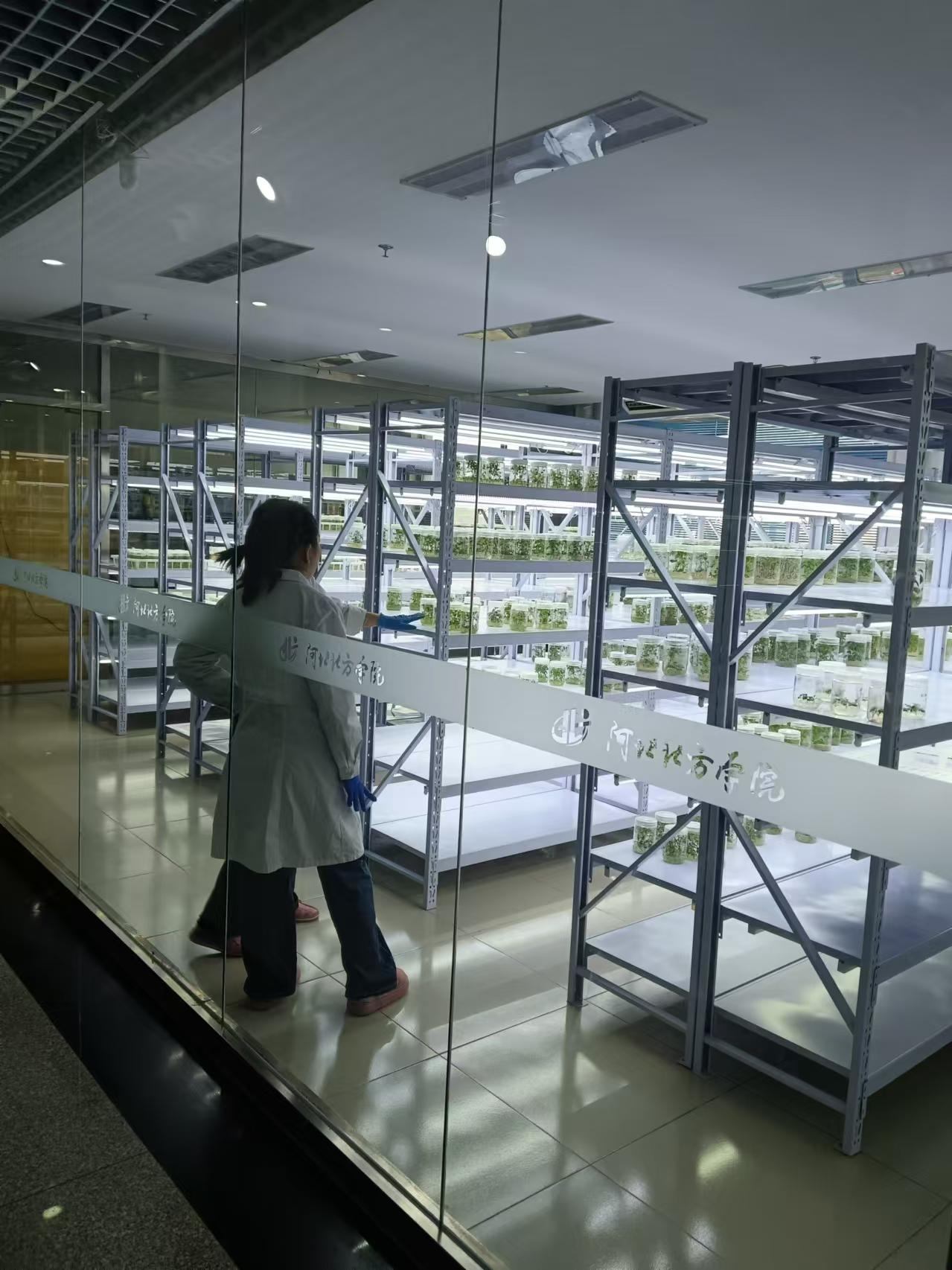 南通植物组培室设计的基本布局有哪些?